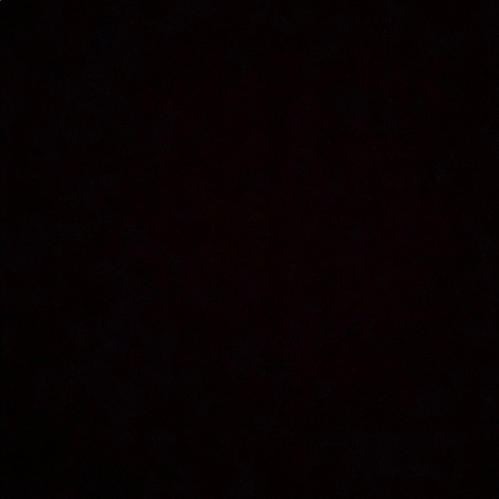 Meet your Posher, Abbey